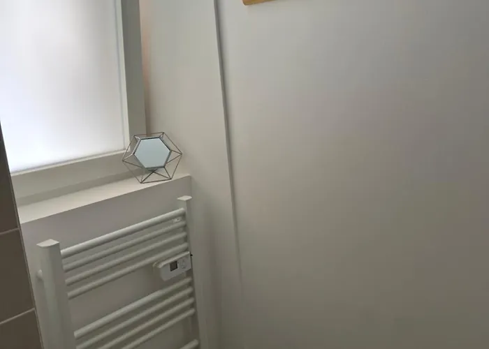 Des Perroquets Châteaubriant